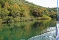 Cetina