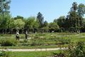 Der Schlosspark