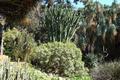 Der Botanische Garten von Palermo