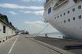 Wieder zurck im Hafen La Goulette
