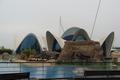 L' OCEANOGRAFIC DE VALENCIA