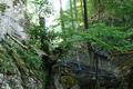 Naturpark �tscher-Torm�uer